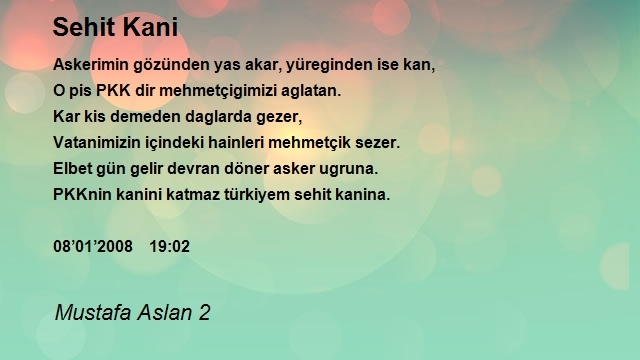 Mustafa Aslan 2