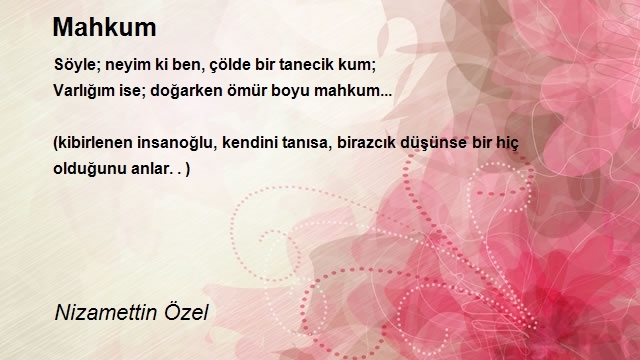 Nizamettin Özel