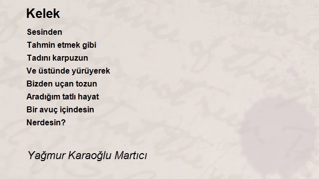 Yağmur Karaoğlu Martıcı