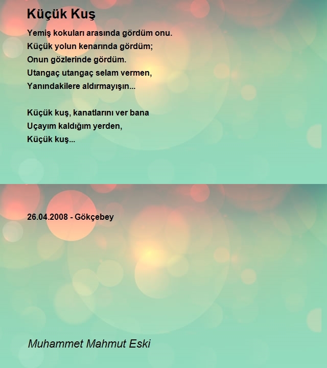 Muhammet Mahmut Eski