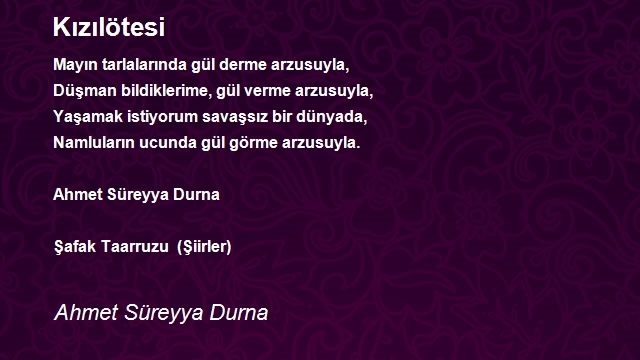 Ahmet Süreyya Durna