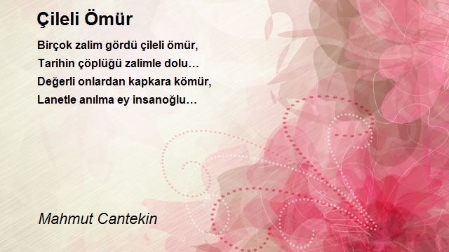 Mahmut Cantekin