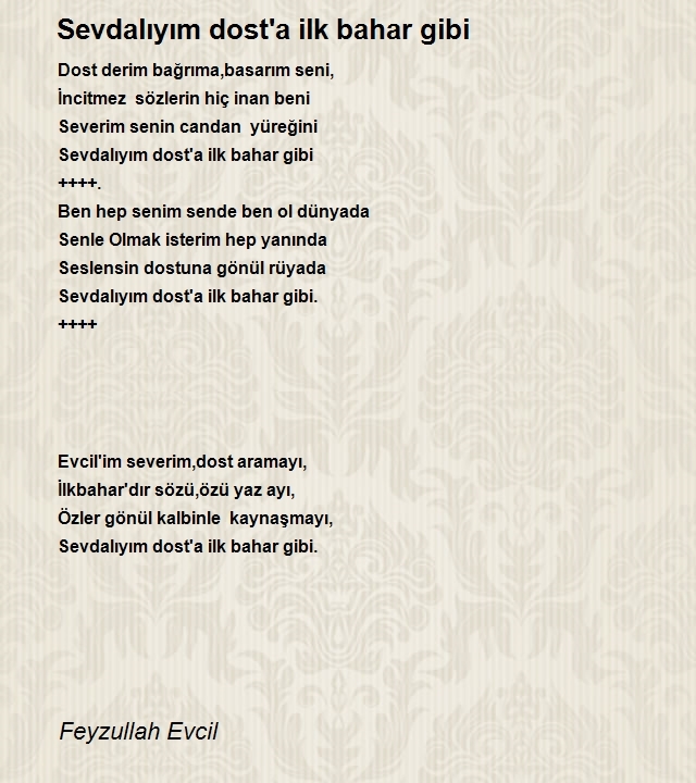 Feyzullah Evcil