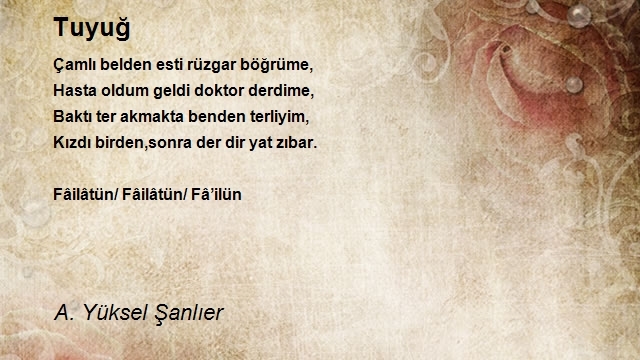 A. Yüksel Şanlıer