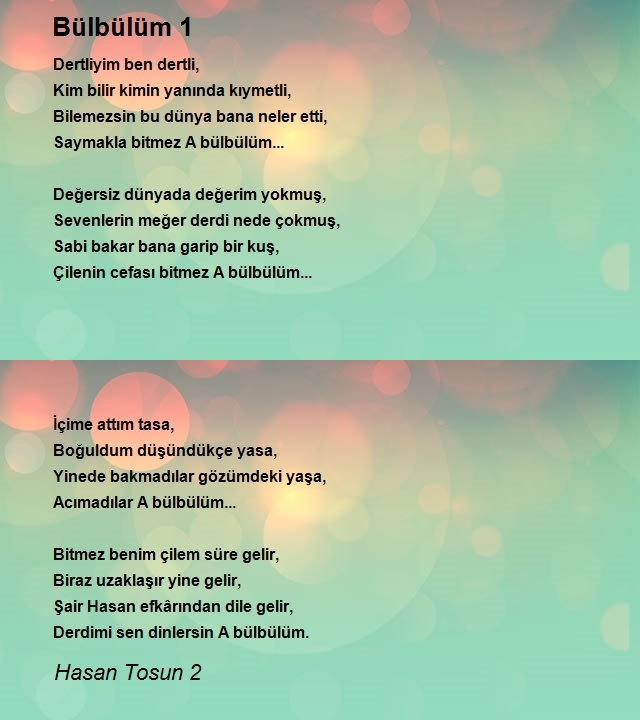 Hasan Tosun 2