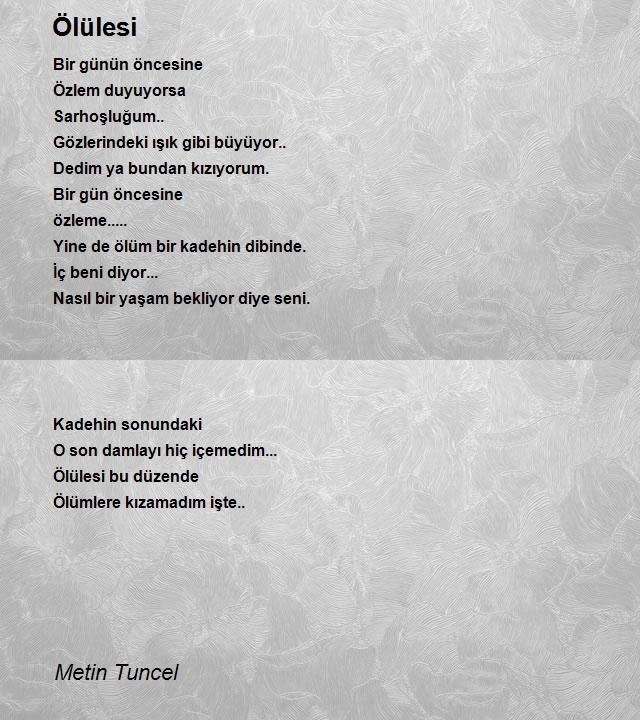 Metin Tuncel