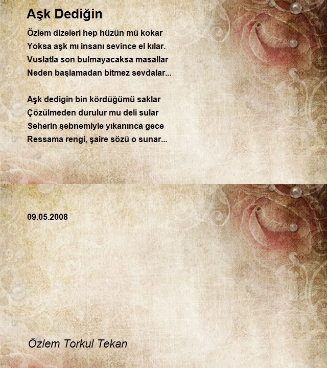 Özlem Torkul Tekan