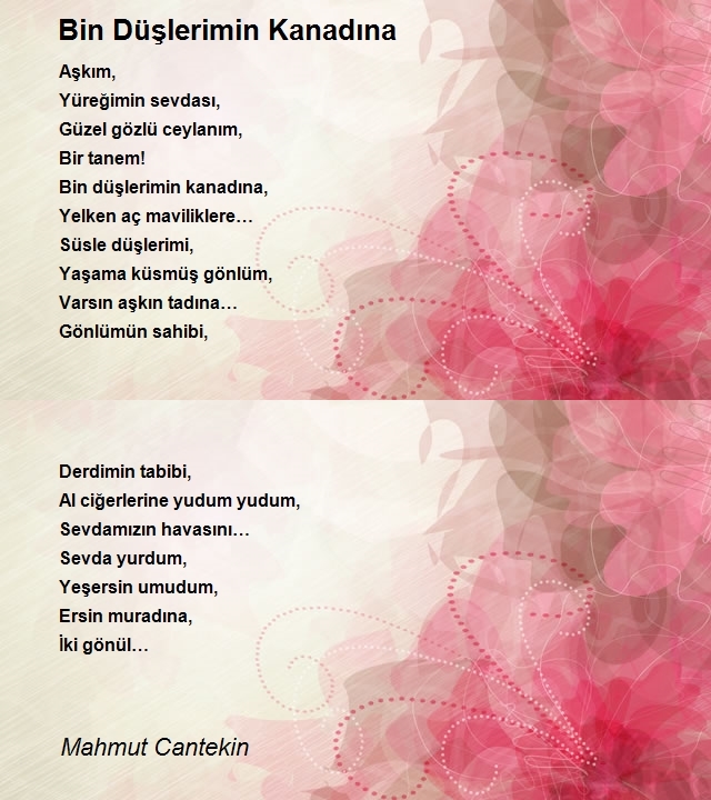 Mahmut Cantekin