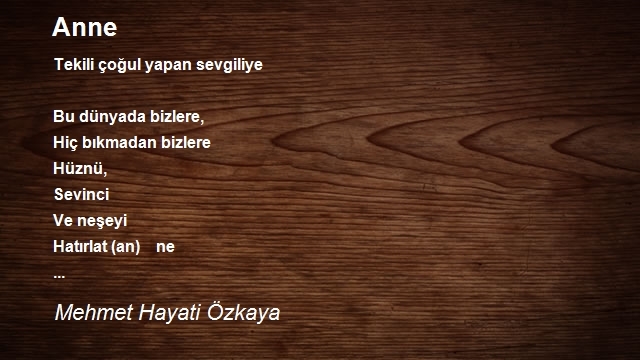 Mehmet Hayati Özkaya