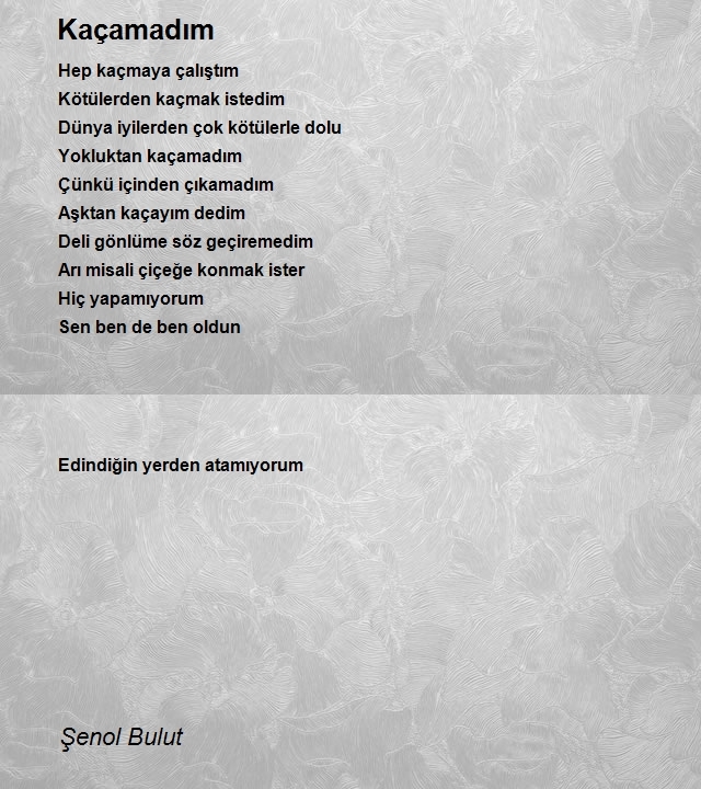 Şenol Bulut