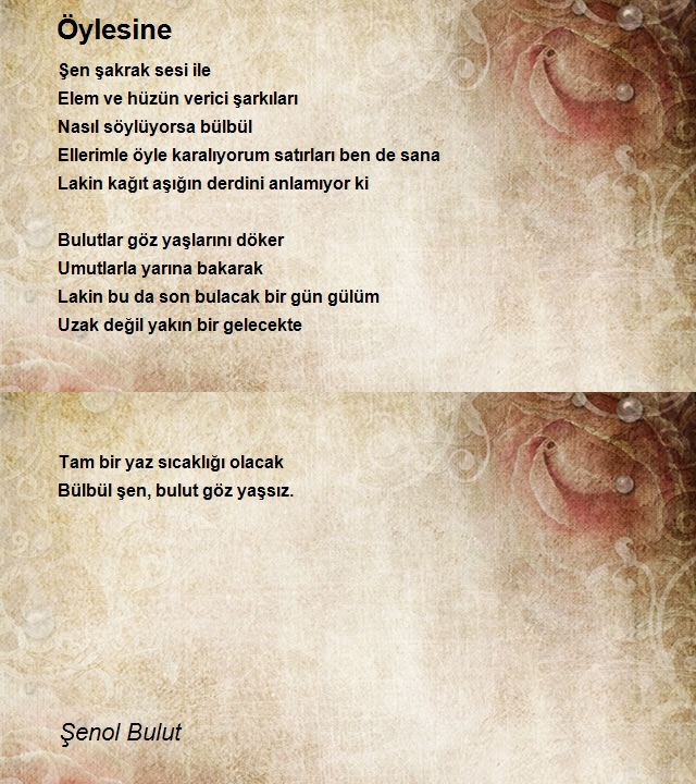 Şenol Bulut