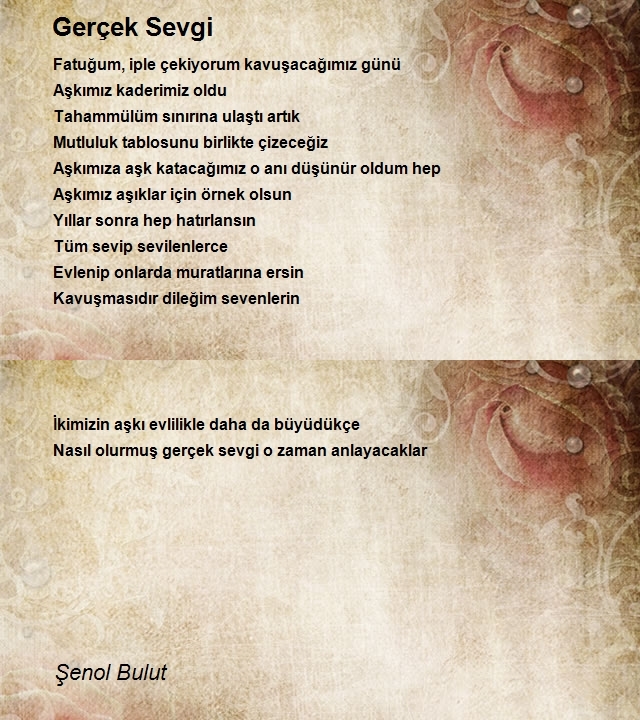 Şenol Bulut