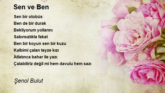 Şenol Bulut