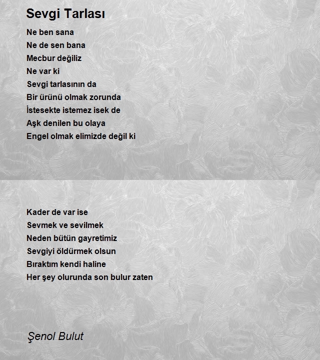 Şenol Bulut