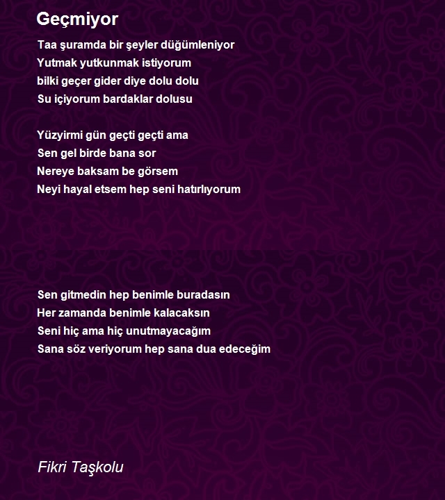 Fikri Taşkolu