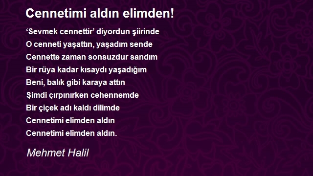 Mehmet Halil