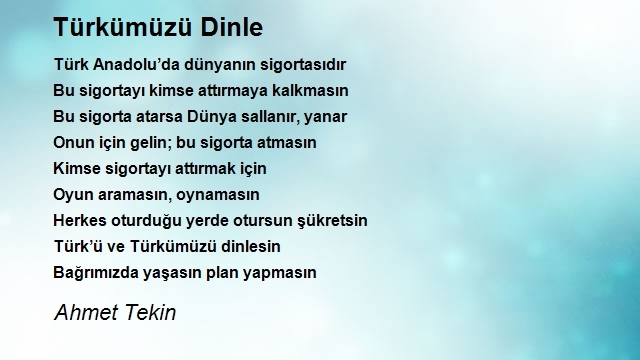 Ahmet Tekin