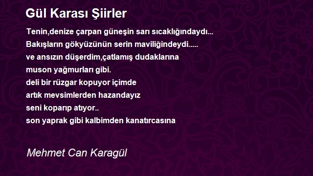 Mehmet Can Karagül