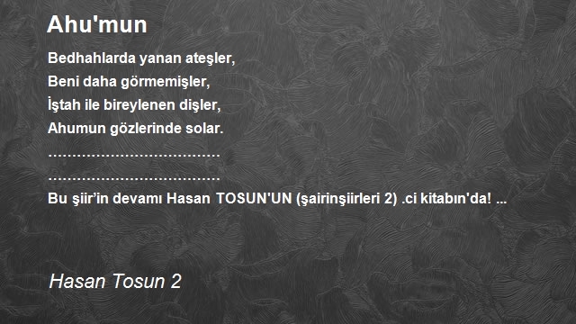 Hasan Tosun 2