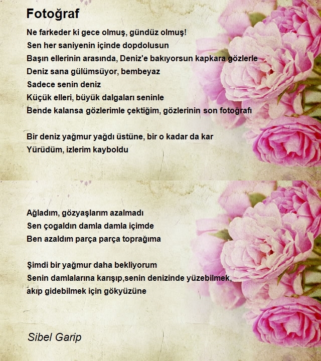 Sibel Garip