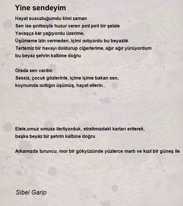 Sibel Garip