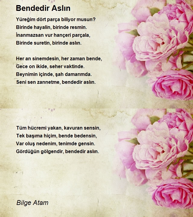 Bilge Atam