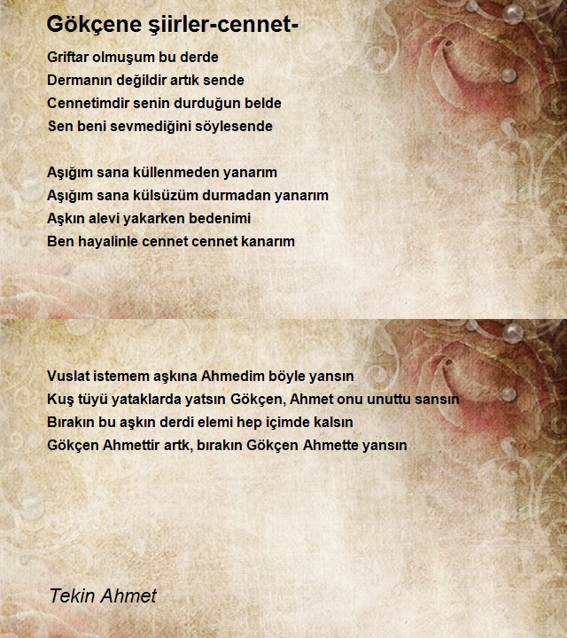 Tekin Ahmet