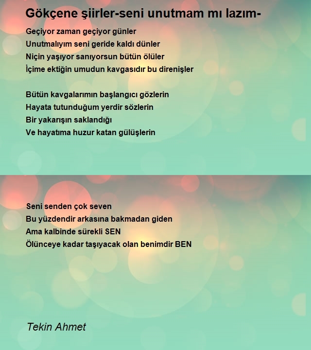 Tekin Ahmet