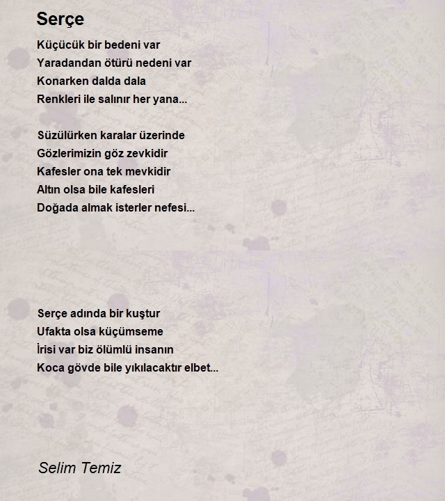 Selim Temiz