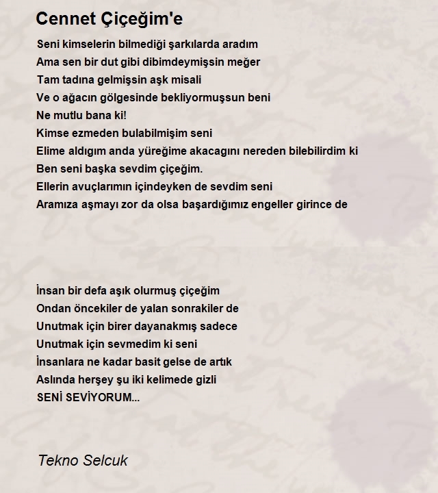 Tekno Selcuk