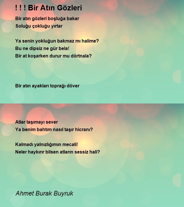 Ahmet Burak Buyruk