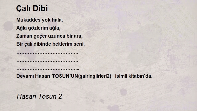 Hasan Tosun 2