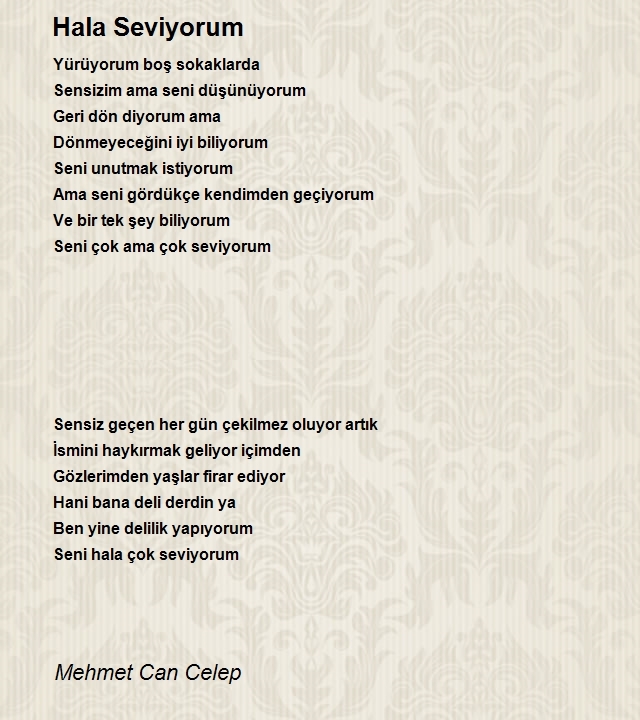 Mehmet Can Celep