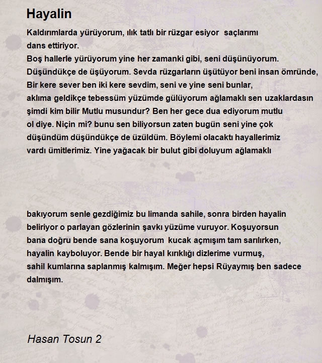 Hasan Tosun 2