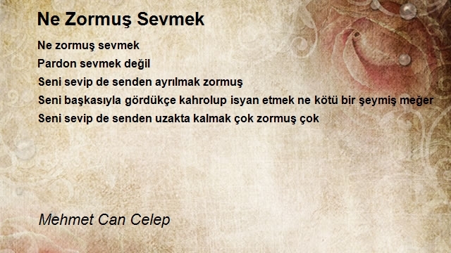 Mehmet Can Celep