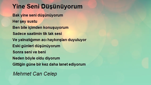 Mehmet Can Celep