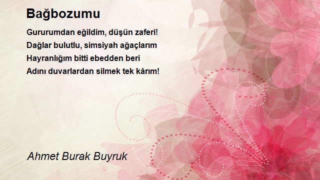 Ahmet Burak Buyruk