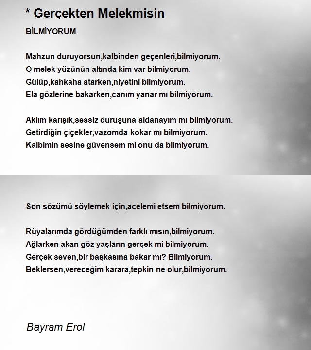 Bayram Erol