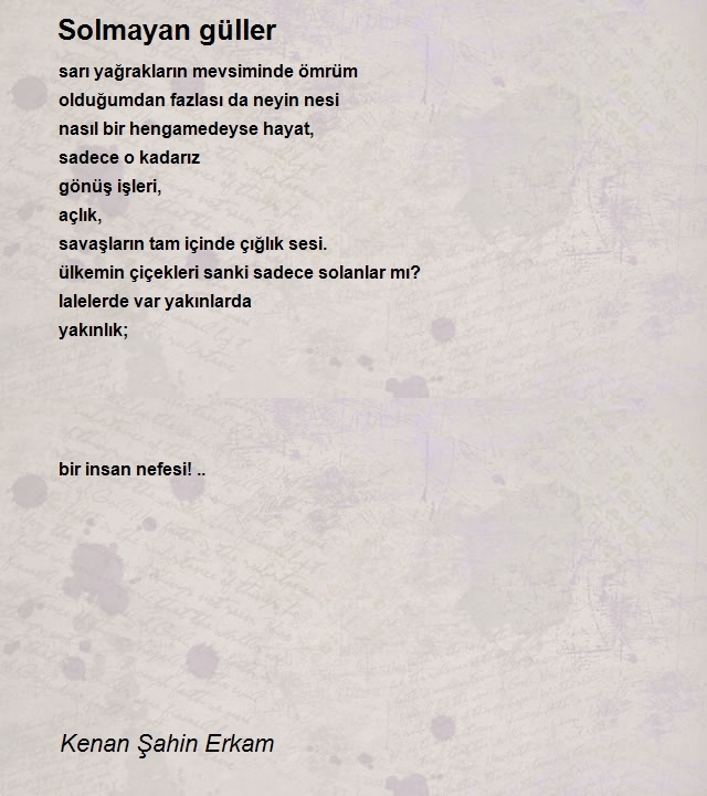 Kenan Şahin Erkam