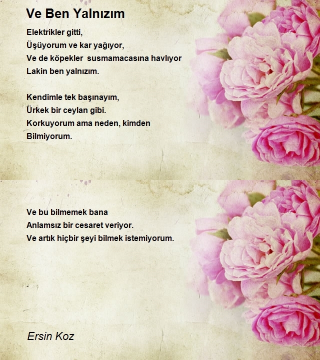 Ersin Koz