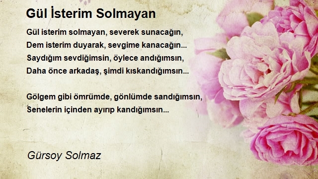 Gürsoy Solmaz