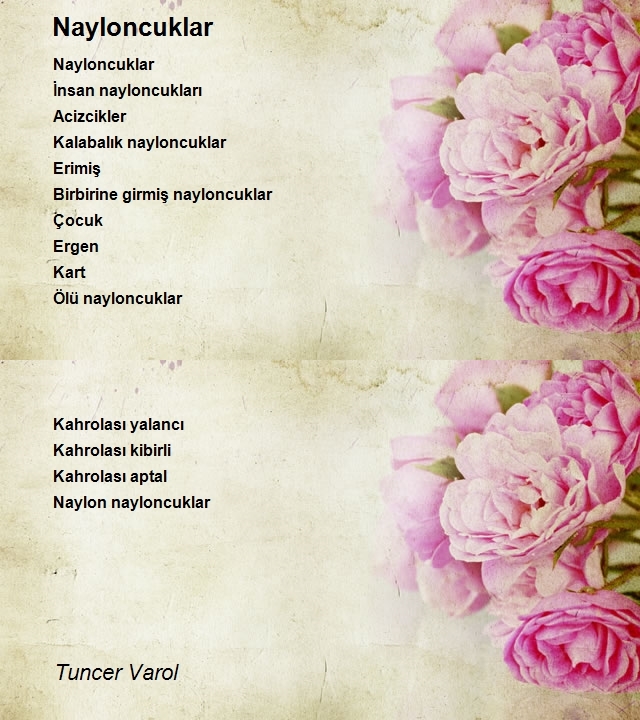 Tuncer Varol