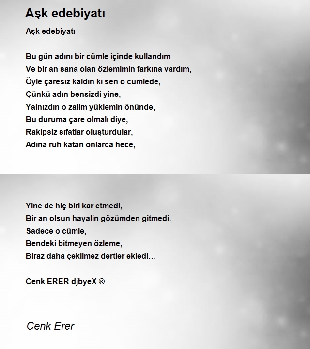 Cenk Erer