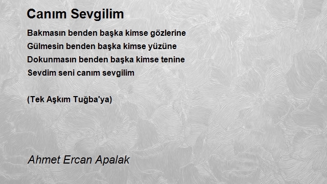 Ahmet Ercan Apalak