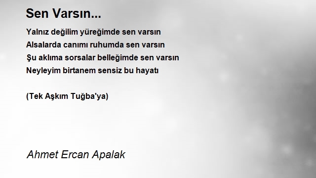 Ahmet Ercan Apalak