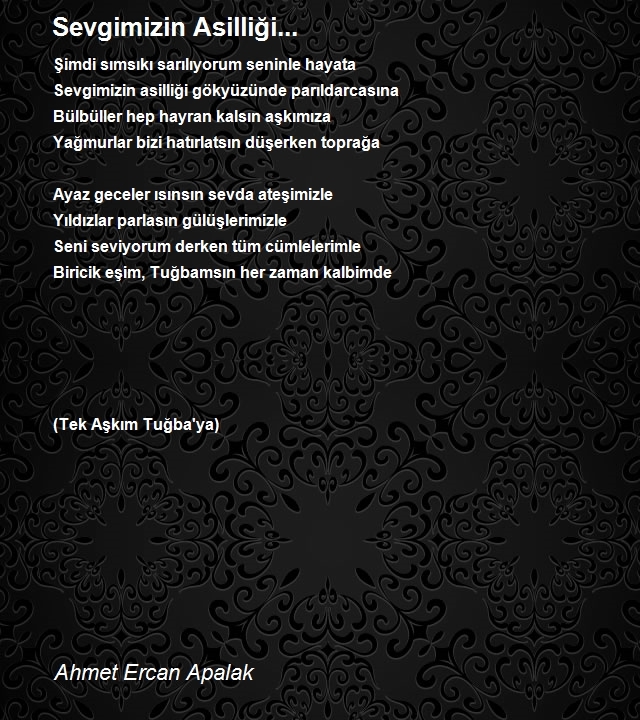 Ahmet Ercan Apalak