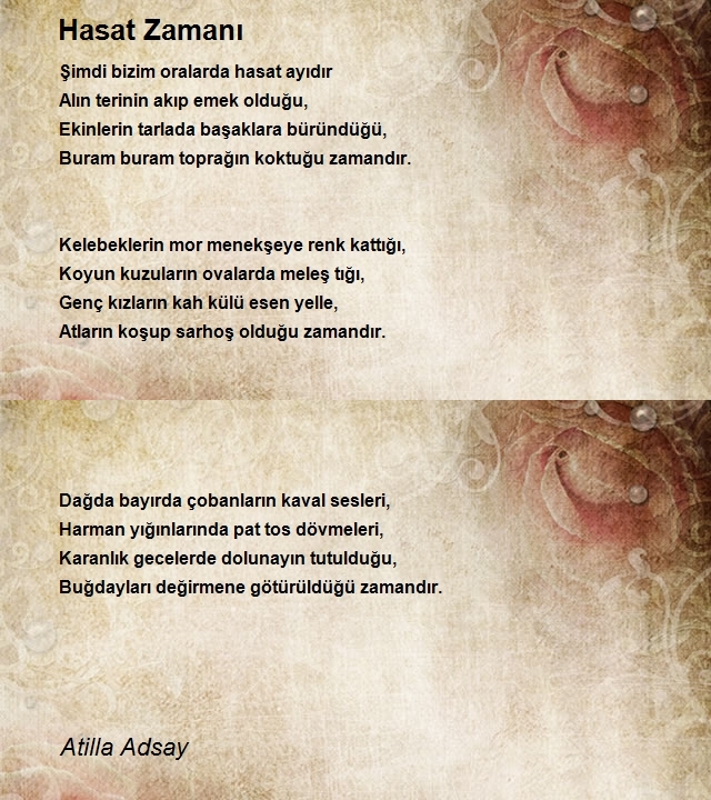 Atilla Adsay