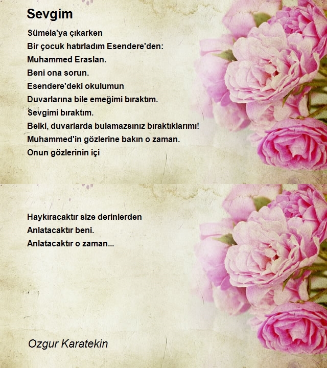 Ozgur Karatekin