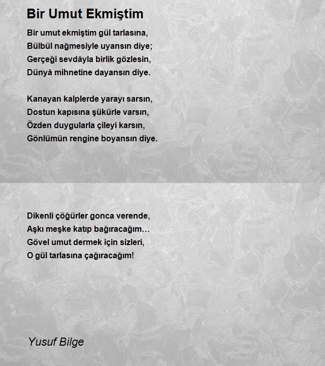 Yusuf Bilge