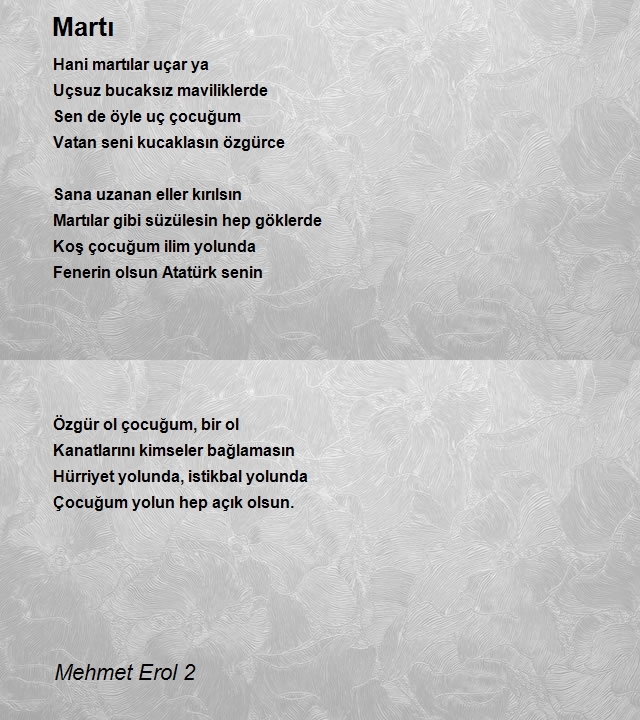 Mehmet Erol 2